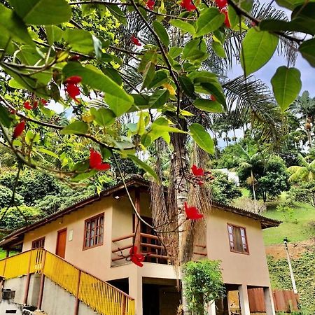 佩德拉阿祖尔 Sitio Dos Palmitos - Casa Pupunha酒店 外观 照片