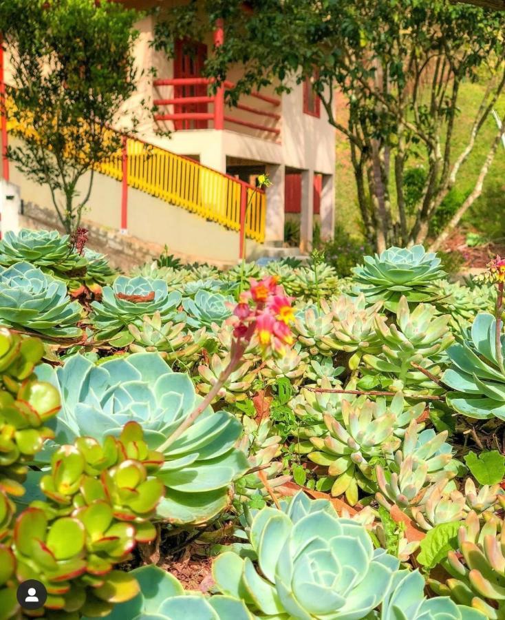 佩德拉阿祖尔 Sitio Dos Palmitos - Casa Pupunha酒店 外观 照片